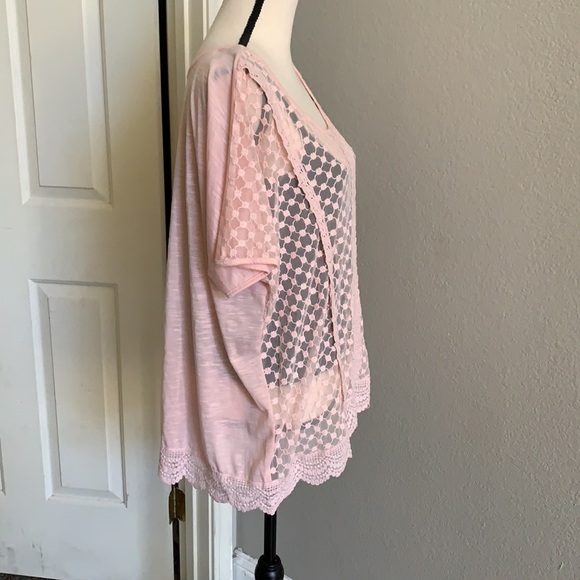 Fiercely Sweet See Through Top. 1X - Picture 5 of 6